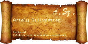 Antaly Szilveszter névjegykártya